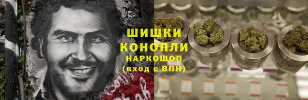 сатива Арсеньев