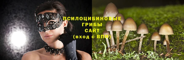 гашик Балахна