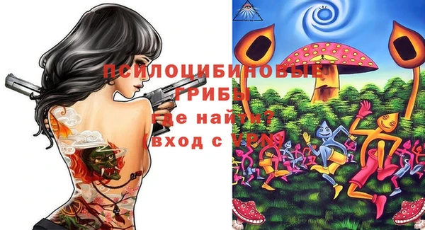 ECSTASY Баксан