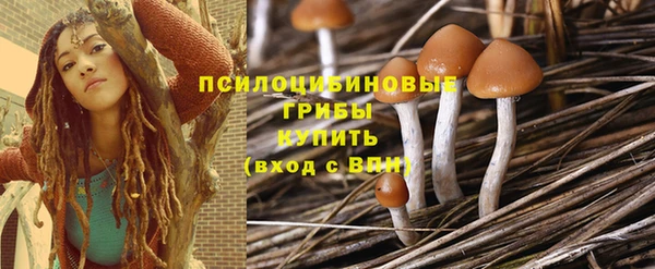 гашик Балахна