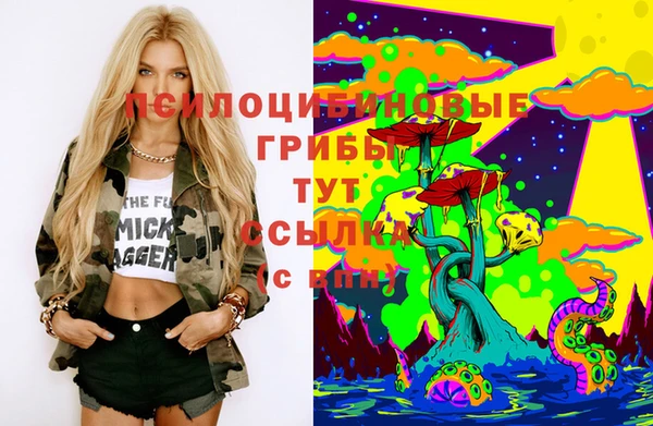молекула духа Аркадак