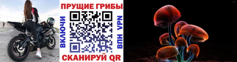наркотики Радужный Галлюциногенные грибы прущие грибы